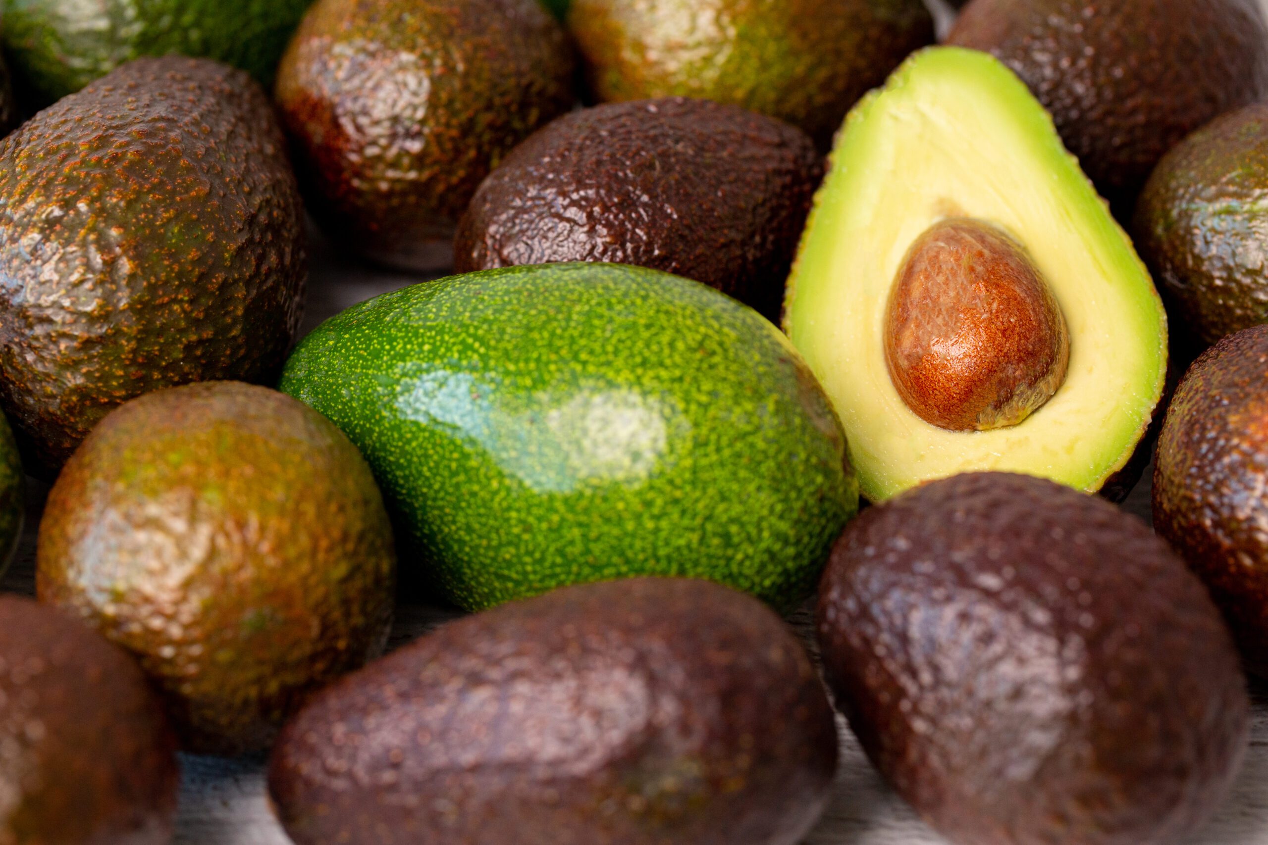 avocado main image