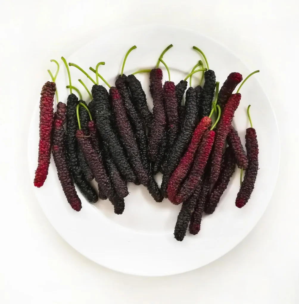 Mulberries in a plate