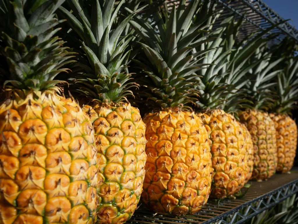 pineapple main image
