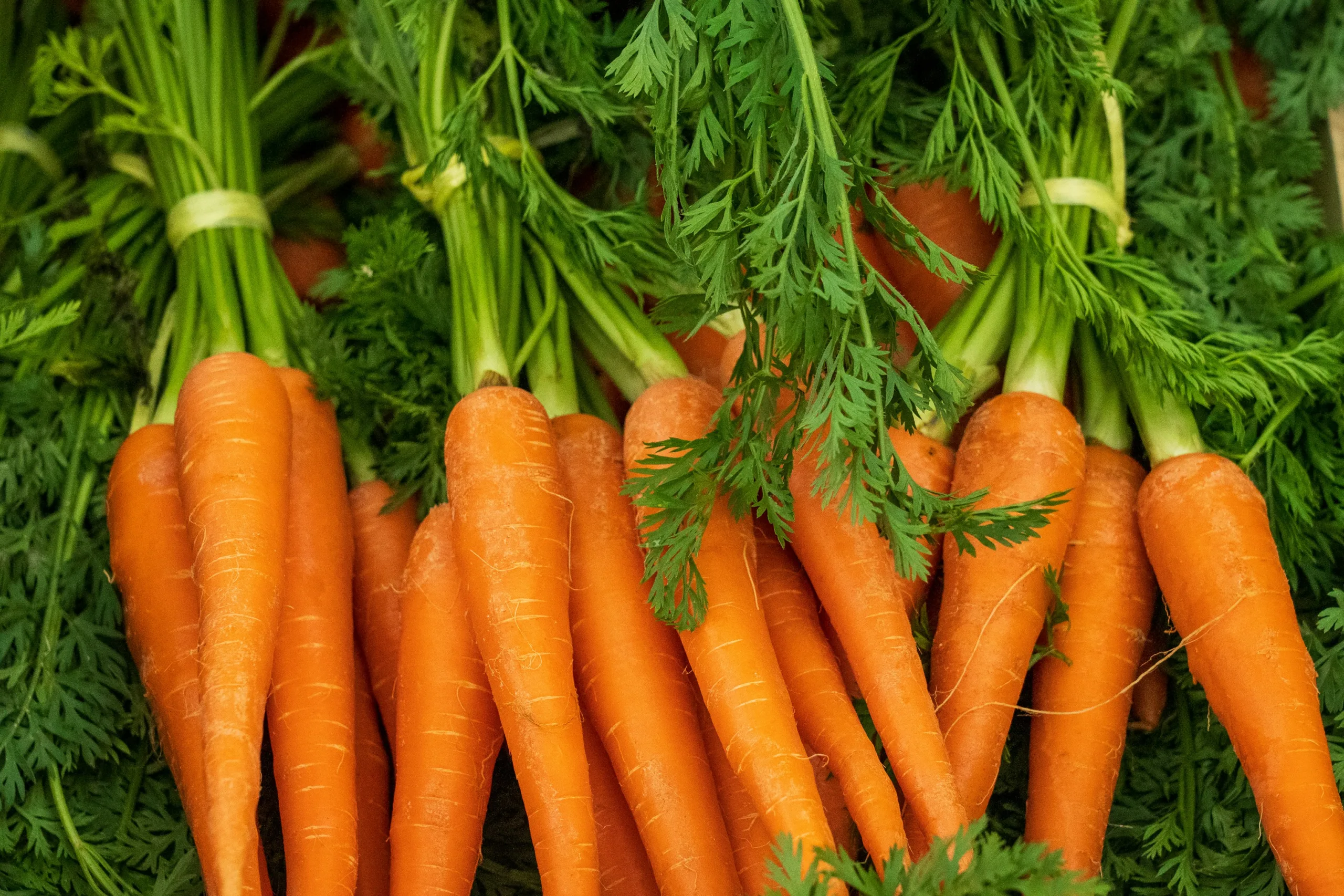 carrots featured image