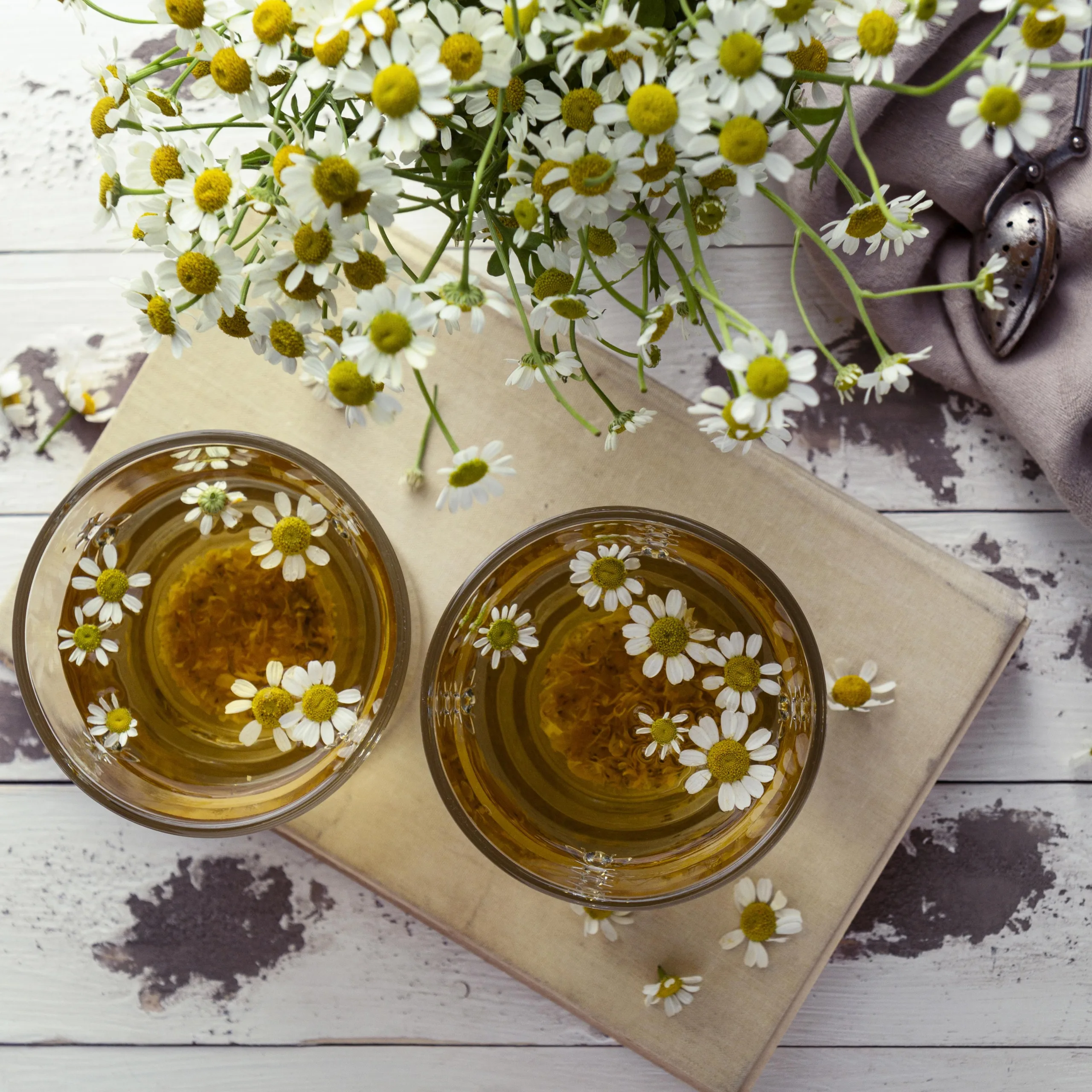 Chamomile featured image