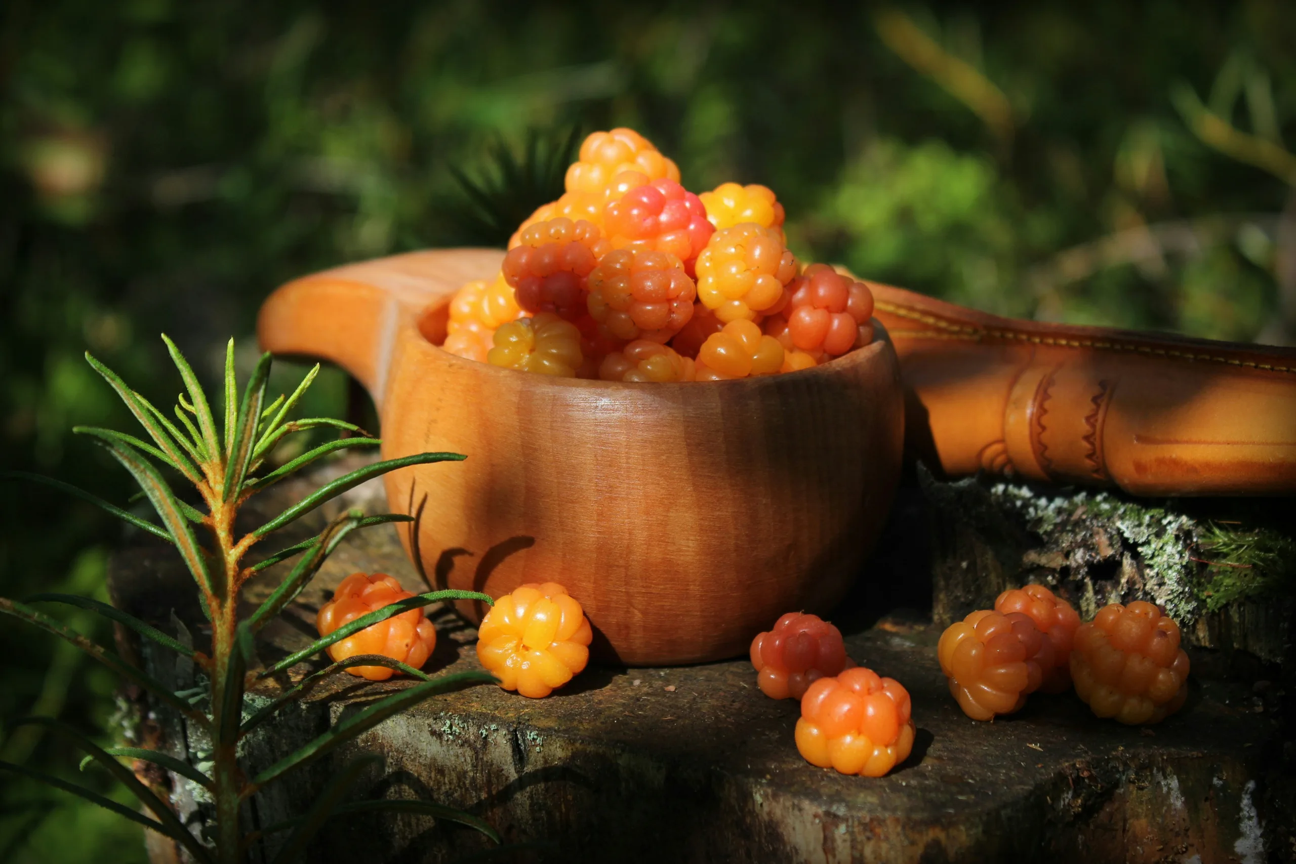Cloudberries featured image