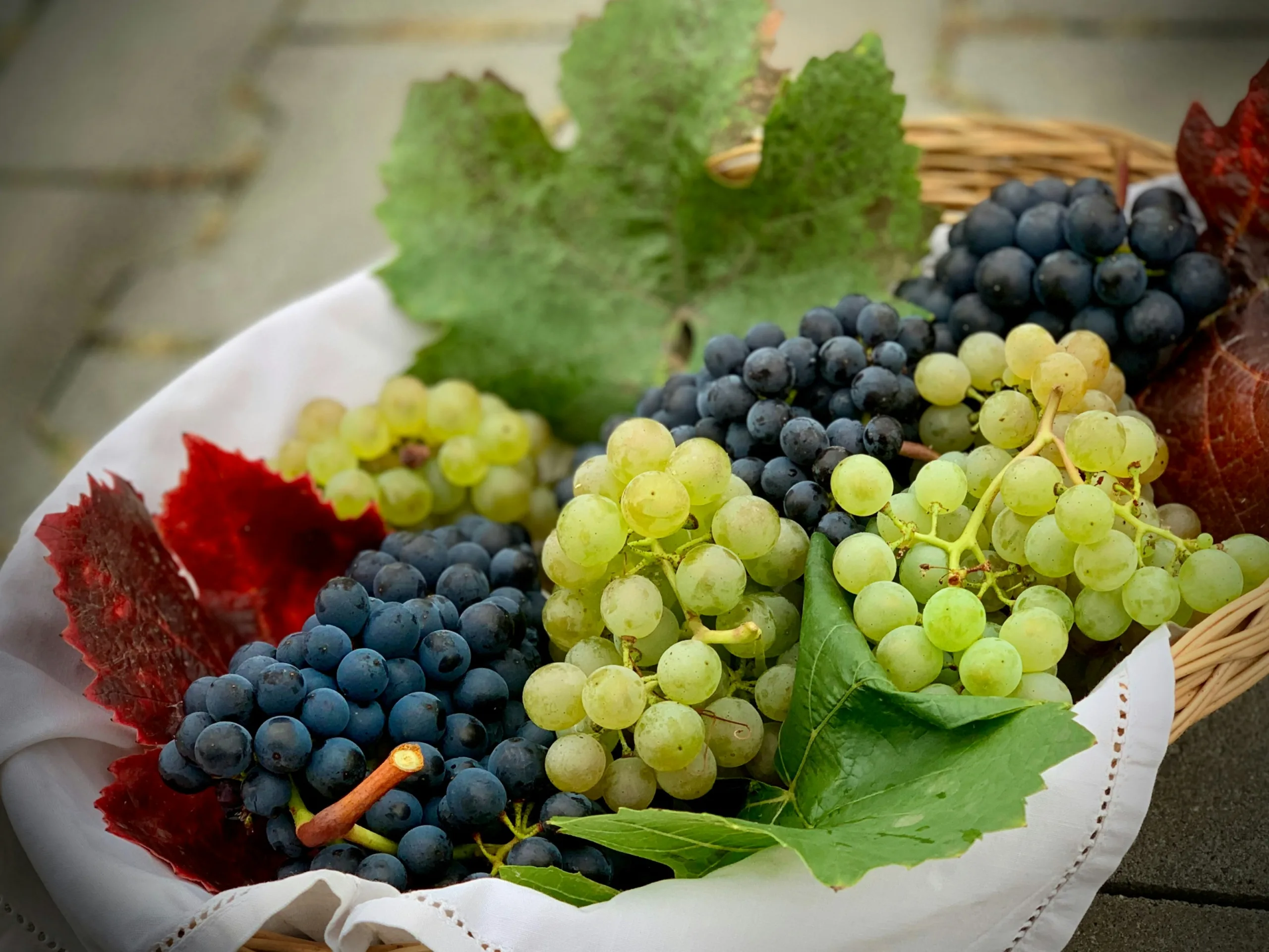 Grapes featured image