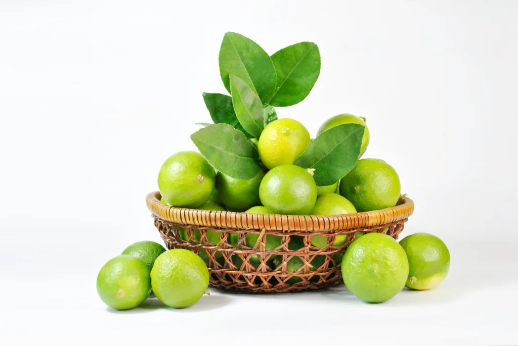 Lime main image