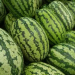 watermelon featured image