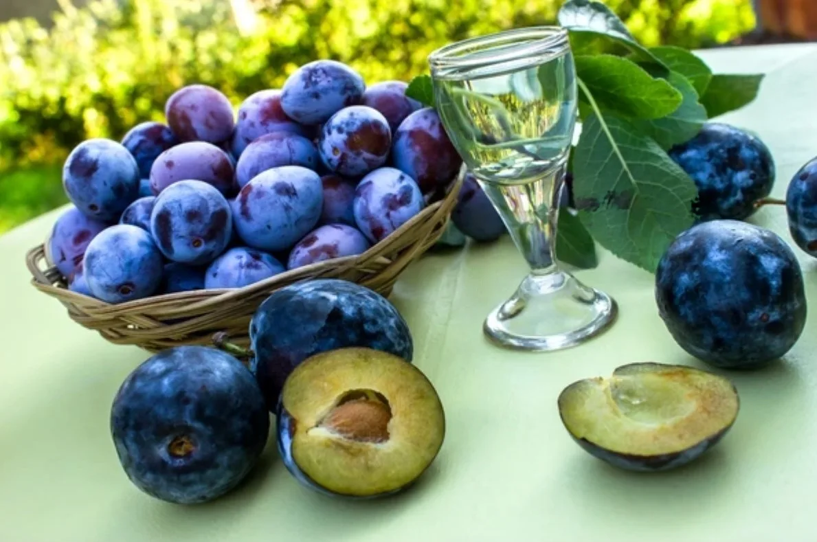 Damson Plums: The Tiny Fruit with Big Health Benefits