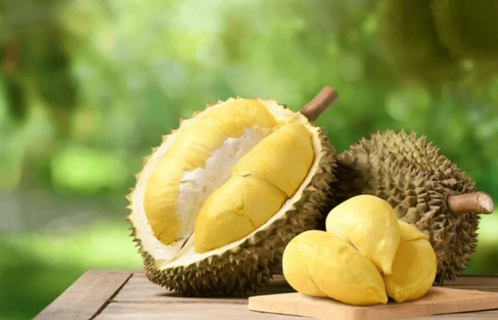 Durian featured image