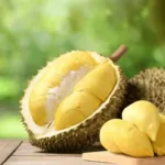 Durian featured image