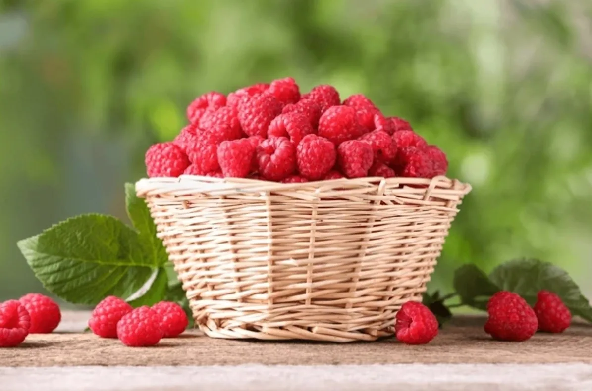 raspberries featured image