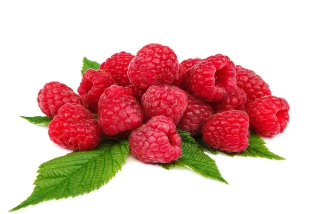 raspberries main image