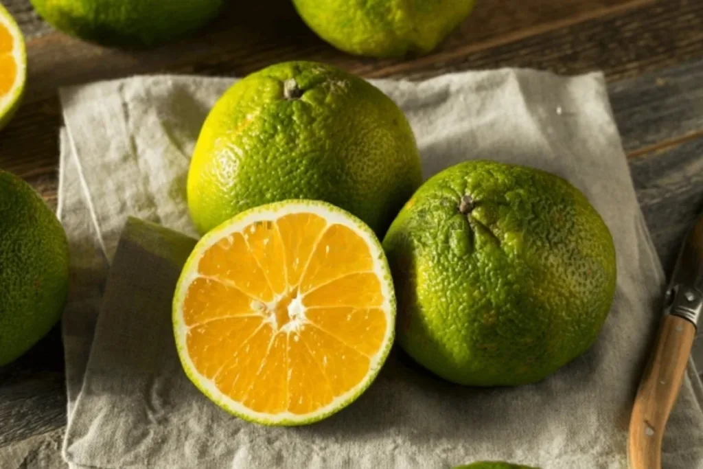 ugli fruit featured image